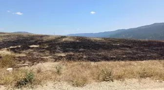 Safranbolu'da Anız Yangını Kontrol Altına Alındı