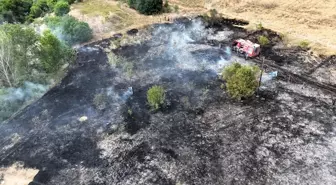 Safranbolu'da Anız Yangını: 6 Dönüm Zarar Gördü