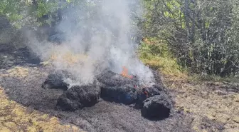 Karabük'te Anız Yangını Söndürüldü
