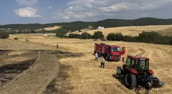 Karabük'te Anız Yangını Büyümeden Söndürüldü