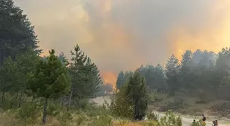 Karabük'te Orman Yangınına Müdahale Başlatıldı
