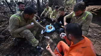 Karabük'te orman işçilerinin alevlerle mücadelesi sürüyor