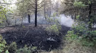 Karabük'te Orman Yangını Kontrol Altına Alındı