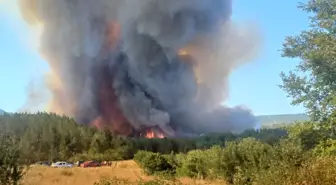 Karabük'te Orman Yangını Çıktı