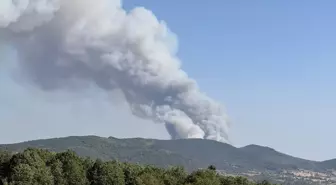 Karabük'te Orman Yangınına Müdahale Başlatıldı