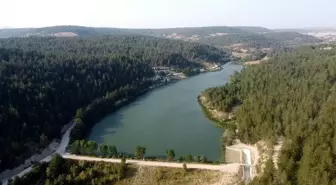 Eflani'deki Ortakçılar Göleti, Doğaseverlerin Gözdesi