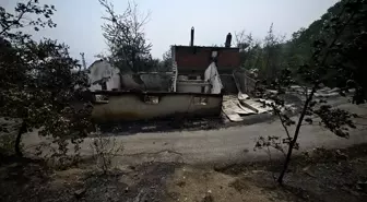 Safranbolu'daki Orman Yangınına 5. Günde Müdahale Devam Ediyor