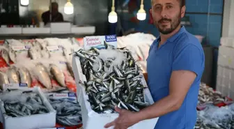 Karadenizli balıkçıların tezgahlarında yeni sezonda en çok istavrit yer alıyor