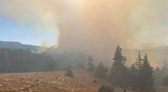 Karaman'da Orman Yangınları Kontrol Altına Alınmaya Çalışılıyor