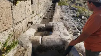 Karaman'da Yılkı Atları İçin Su Taşıma Çalışmaları Başlatıldı
