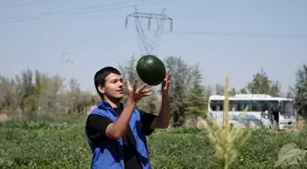 Karapınar'da Gençler Tarım Ürünleriyle İhtiyaç Sahiplerine Destek Oluyor