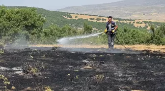 Bingöl'de Örtü Yangını Kontrol Altına Alındı