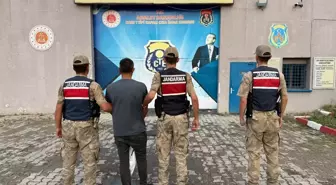 Kars'ta Çalıntı Büyükbaş Hayvanlarla Yakalanan 1 Kişi Tutuklandı