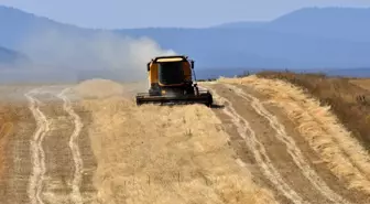 Kars'ta Çiftçiler Son Buğday Hasadını Yapıyor