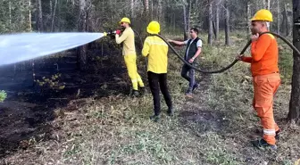 Sarıkamış'taki Orman Yangını Kontrol Altına Alındı