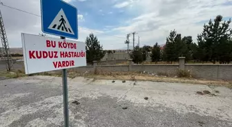 Kars'ta Kuduz Virüsü Nedeniyle Karantina Uygulaması Başlatıldı