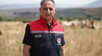 Kars'ta Şap Hastalığı Tedbirleri Başarıyla Uygulandı