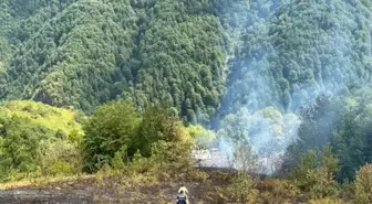 Çatalzeytin'de Ev Yangını Ormanlık Alana Sıçradı