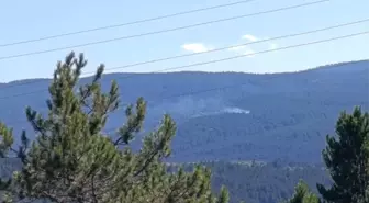Kastamonu'da Orman Yangını Kısa Sürede Söndürüldü