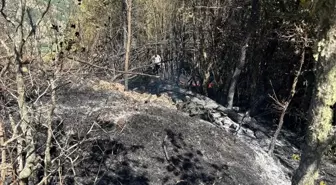 Kastamonu'da Orman Yangını Kontrol Altına Alındı