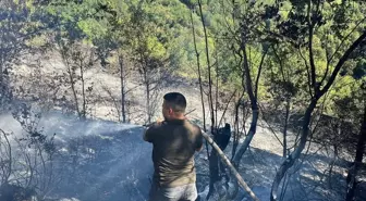 Kastamonu'da Bahçedeki Yangın Kontrol Altına Alındı