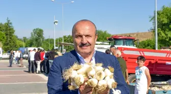 Taşköprü Sarımsağı Pazara İndi