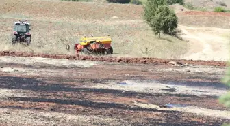 Kastamonu'da Tarım Arazisinde Başlayan Yangın Kontrol Altına Alındı