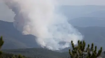 Kastamonu'da Orman Yangını: 5 Yerleşim Yeri Boşaltıldı