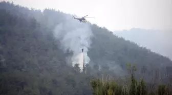 Kastamonu-Karabük Sınırındaki Orman Yangınlarıyla Mücadele Devam Ediyor