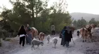 Kastamonu-Karabük sınırındaki iki orman yangını kontrol altına alındı