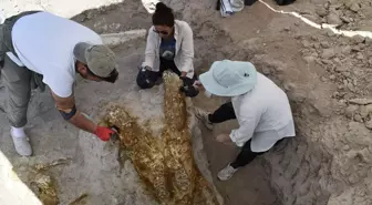 Kayseri'de 7,7 Milyon Yıllık Fosil Kazıları: 3 Fil Kafatası Bulundu