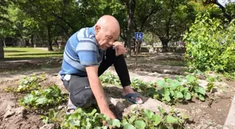 Huzurevi Sakinleri Hobi Bahçelerinde Keyifli Anlar Yaşıyor