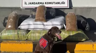 Kayseri'de Yolcu Otobüsünde 230 Kilogram Kaçak Tütün Ele Geçirildi