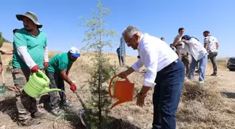 Büyükkılıç, Zabıta Haftası'nda Fidan Dikti