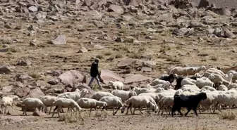 28 Yıldır Hayvancılıkla Geçimini Sağlayan Ahmet Koçak'ın Hikayesi