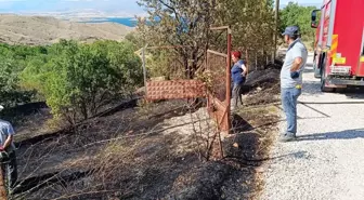 Elazığ'da Otluk Alanda Çıkan Yangın Kontrol Altına Alındı