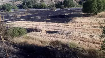 Elazığ Keban'da Otluk Alanda Yangın Söndürüldü
