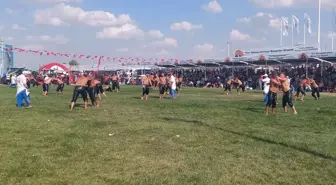 Edirne'de Kel Aliço Yağlı Güreşleri'nde Yıldıray Pala Başpehlivan Oldu