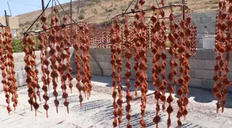 Kilis'te Kış Lezzeti Cevizli Sucuk Üretimi Başladı