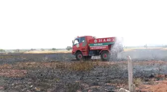 Kilis'te Buğday Tarlasında Yangın: 150 Dönüm Zarar Gördü
