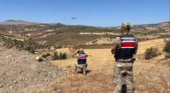 Kilis'te Kaybolan 12 Küçükbaş Hayvan Jandarma Tarafından Bulundu