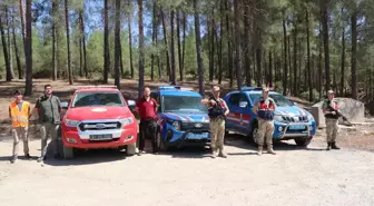 Kilis'te Ormanlık Alanlara Girişler Yasaklandı