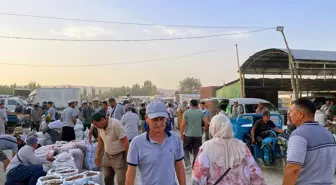 Kırgızistan'da Kuru Kayısı Pazarı Yeni Sezon Ürünleri ile Canlanıyor