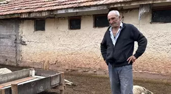 Kırıkkale'de Kurt Saldırısı: 18 Küçükbaş Hayvan Telef Oldu