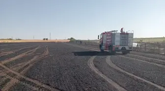 Kırklareli'nde Yangın: 12 Dekar Buğday ve 2 Dekar Ceviz Bahçesi Zarar Gördü