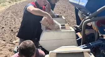Pehlivanköy'de 'Aga' Mısır Çeşidi İçin Deneme Alanı Kuruldu