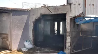 Lüleburgaz'da Ağaçlık Alanda Yangın Söndürüldü