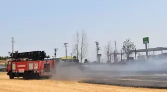 Lüleburgaz'da Anız Yangını Kontrol Altına Alındı
