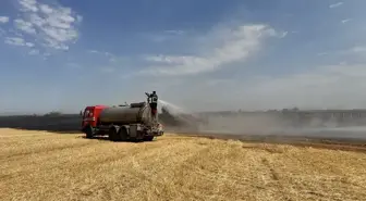 Kırklareli'nde Anız Yangını Kontrol Altına Alındı