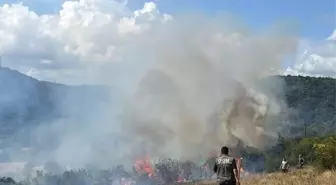 Kırklareli'nde Orman Yangını Kontrol Altına Alındı